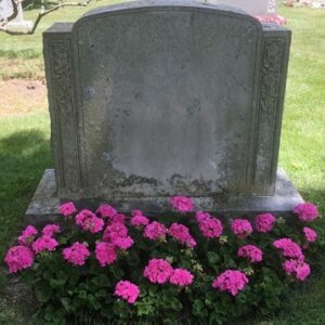 Geranium Flower Bed