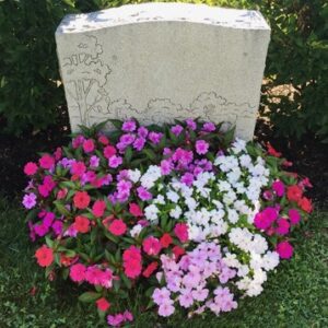 Impatiens Flower Bed